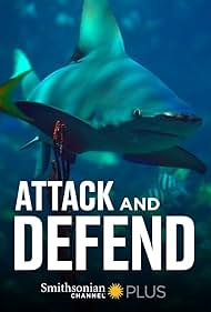 Attack and Defend (2015)