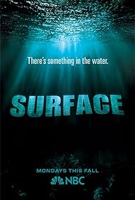 Surface (2005)