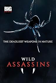 Wild Assassins (2023)